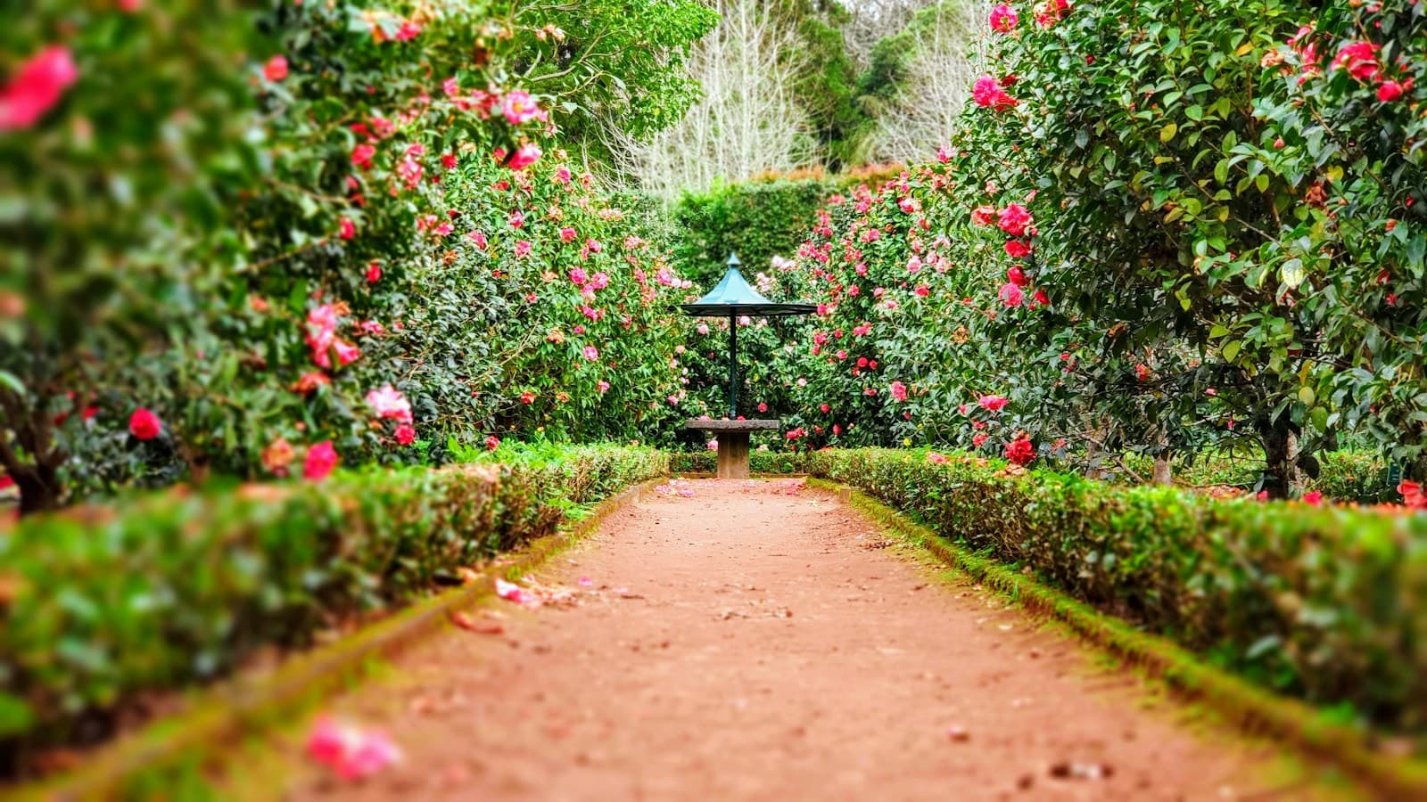 Botanical garden and green sanctuary